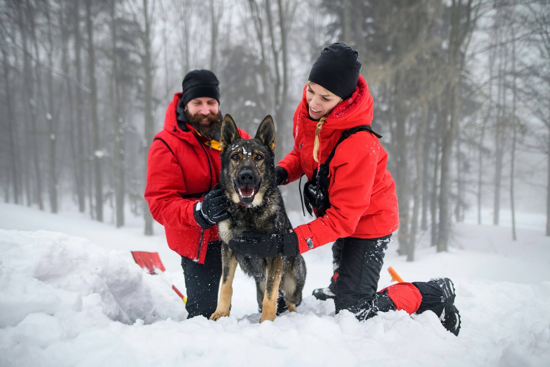 Pet-Friendly Winter Sports Guide