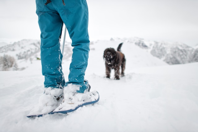 Snowshoeing