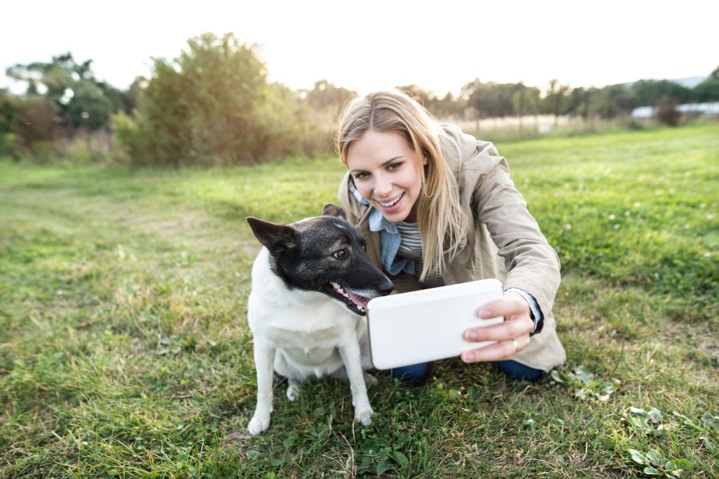 10 Best Photography Tips for Capturing Pets on Travel