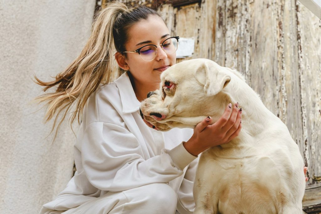 7 Charitable Activities for Animal Welfare While Traveling