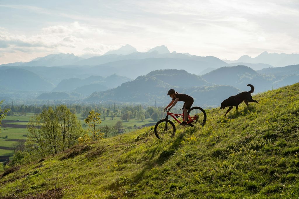 Biking with Your Dog: Best Tips and Trails