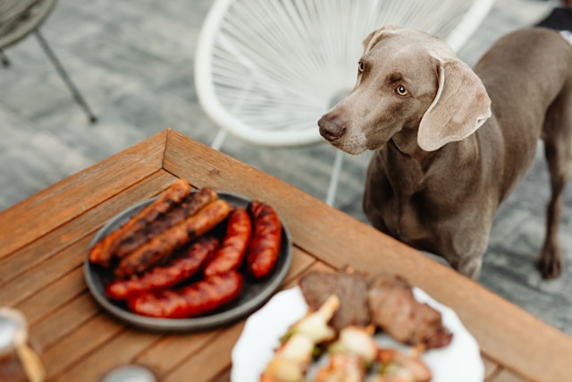 Look for Outdoor Seating