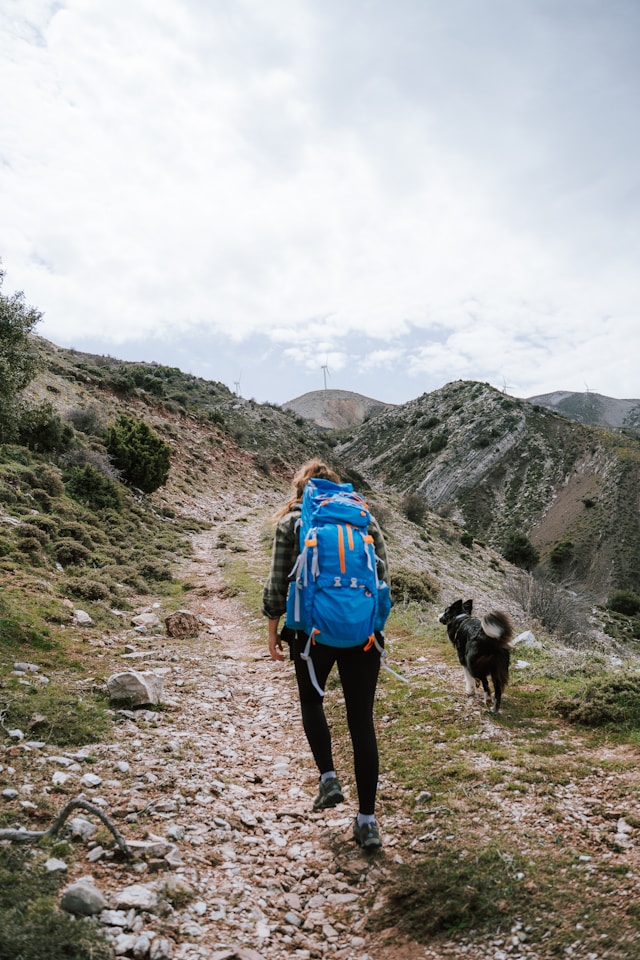 tips for hiking with pets